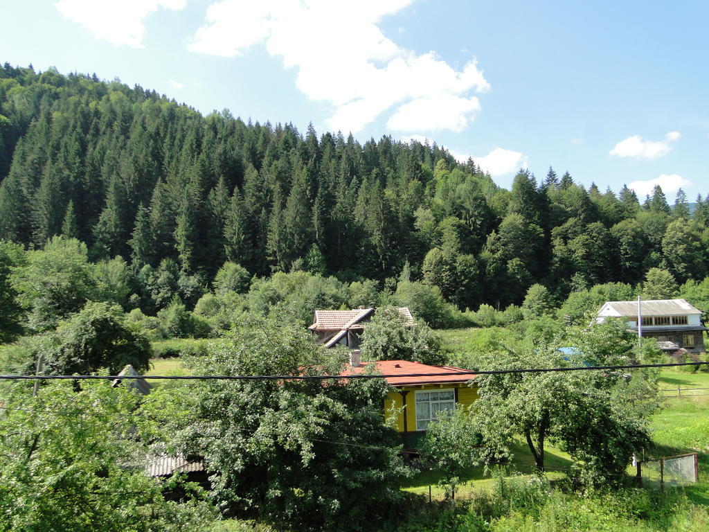 Villa Bilogirya Jaremtsche Exterior foto