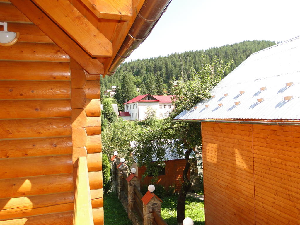 Villa Bilogirya Jaremtsche Exterior foto